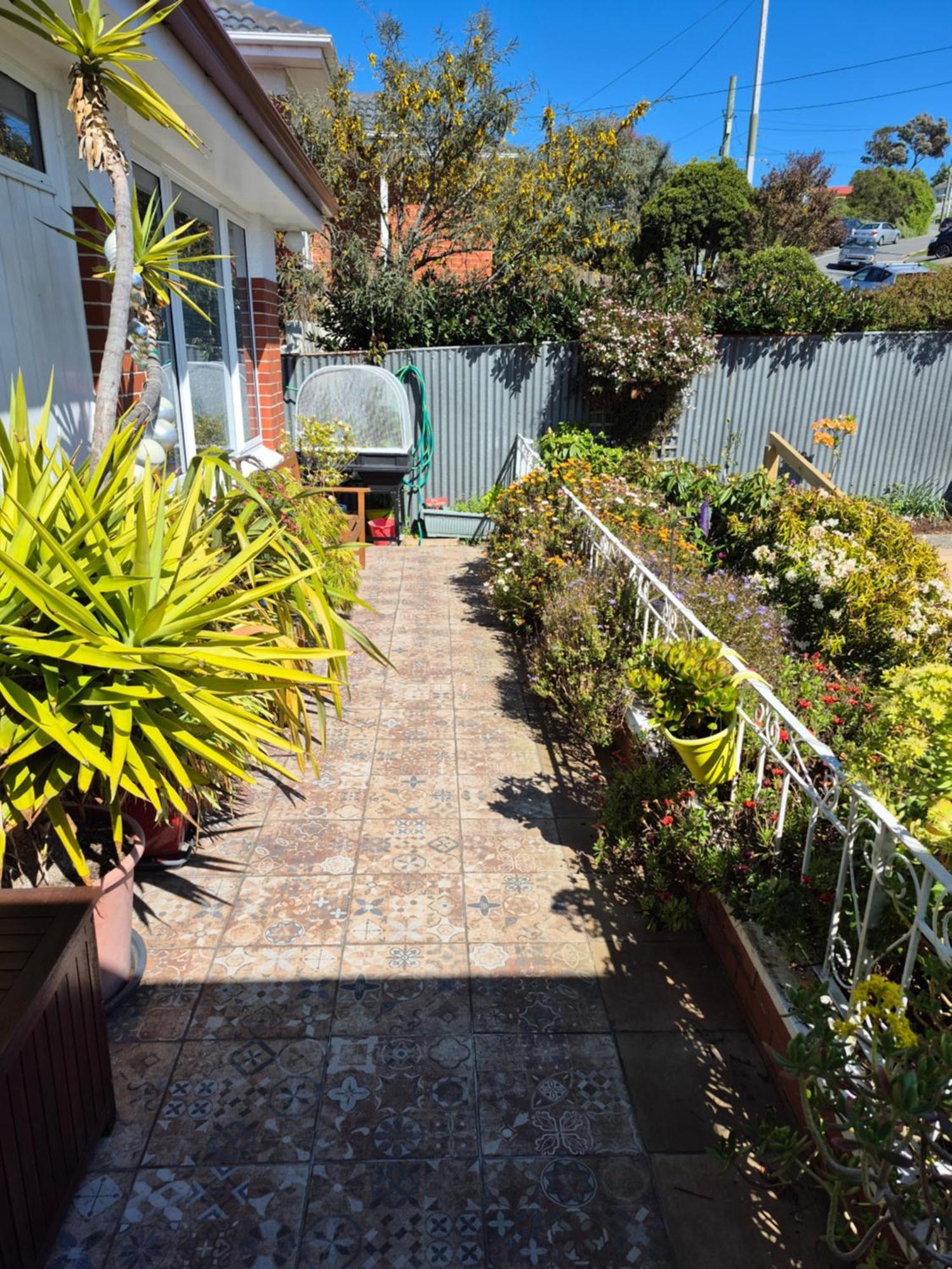 Rosemount B&B By The Sea St Clair 但尼丁 外观 照片