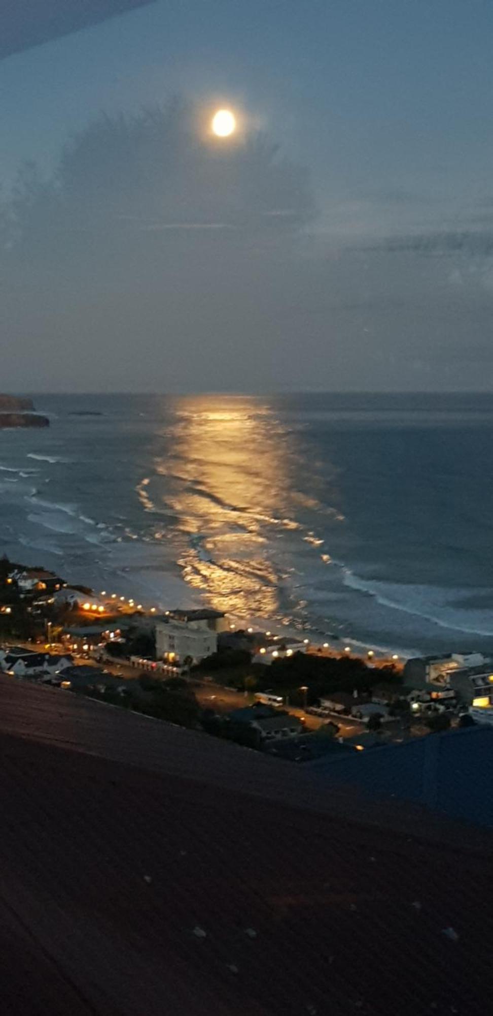 Rosemount B&B By The Sea St Clair 但尼丁 外观 照片